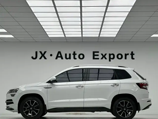 Skoda Karoq — Фото автомобиля 20