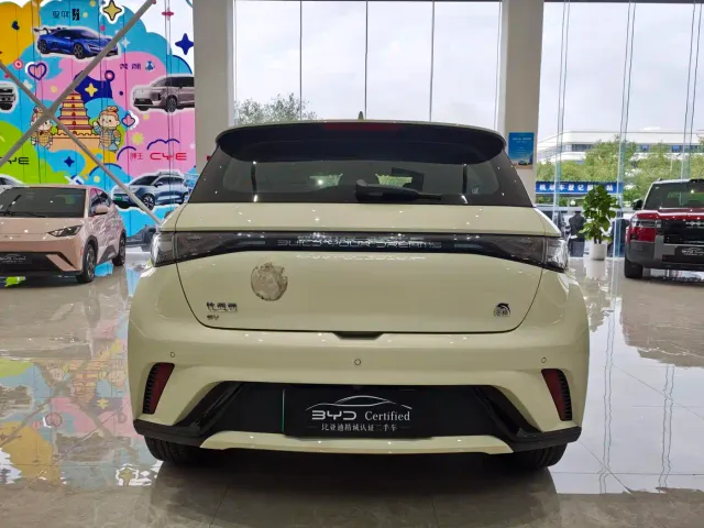 BYD Dolphin — Фото автомобиля 6