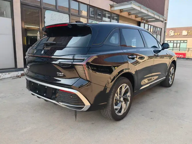Hongqi Hongqi HS3 PHEV 2025 125km Jingwei 2 Million Commemorative Edition — Фото автомобиля 9