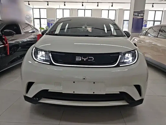 BYD Dolphin 2025 420km Freedom Edition — Фото автомобиля 2
