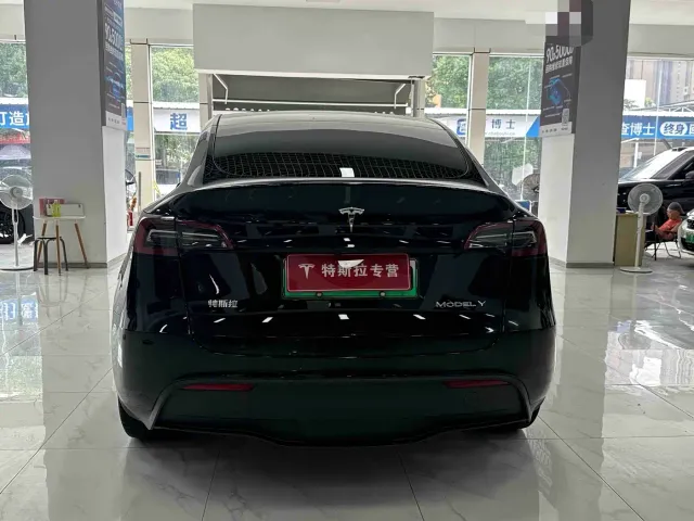 Tesla Model Y — Фото автомобиля 8