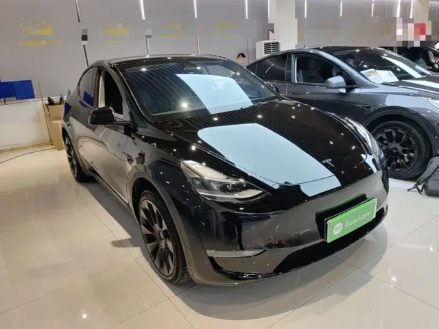 Tesla Model Y — Фото автомобиля 3