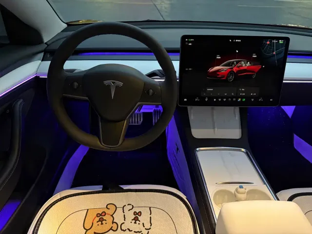 Tesla Model 3 — Фото автомобиля 14