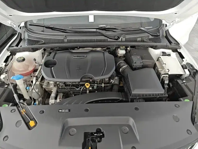 Geely Binrui — Фото автомобиля 19