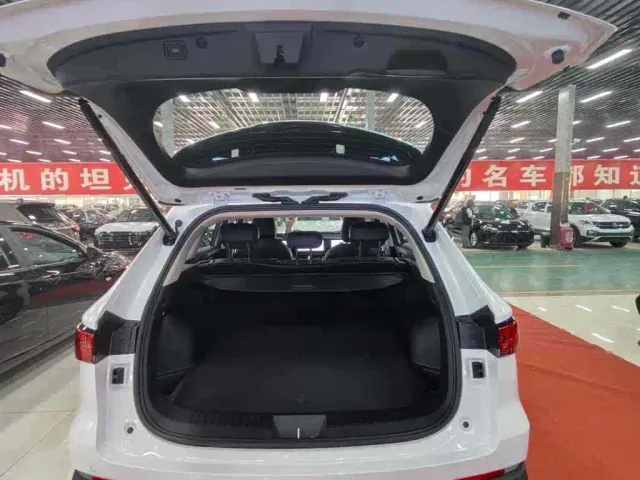 Haval Xiaolong MAX — Фото автомобиля 13