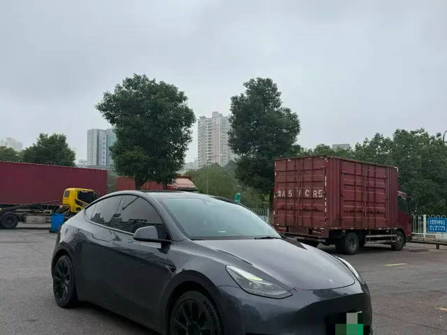 Tesla Model Y — Фото автомобиля 2