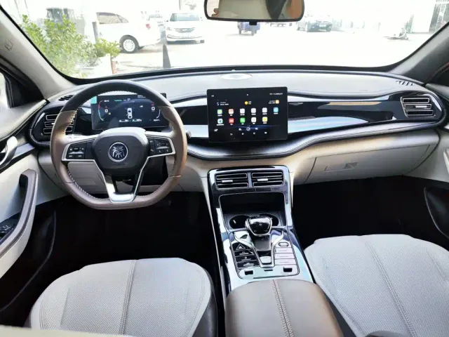 BYD Qin PLUS — Фото автомобиля 9