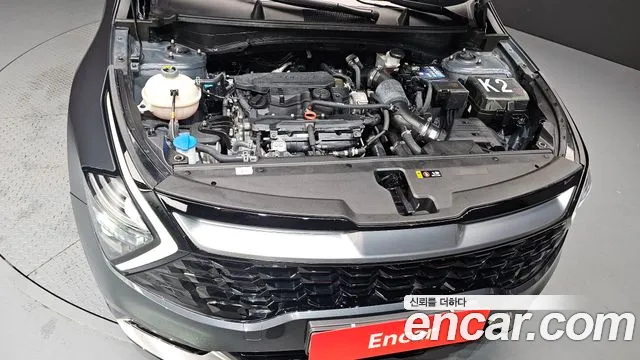 Kia Sportage Sportage 5-е поколение Бензин 1.6 турбо 2WD — Фото автомобиля 6