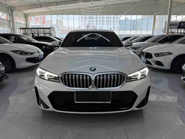 BMW 3 Series — Фото автомобиля 2