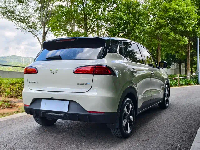 Wuling Binguo PLUS — Фото автомобиля 12