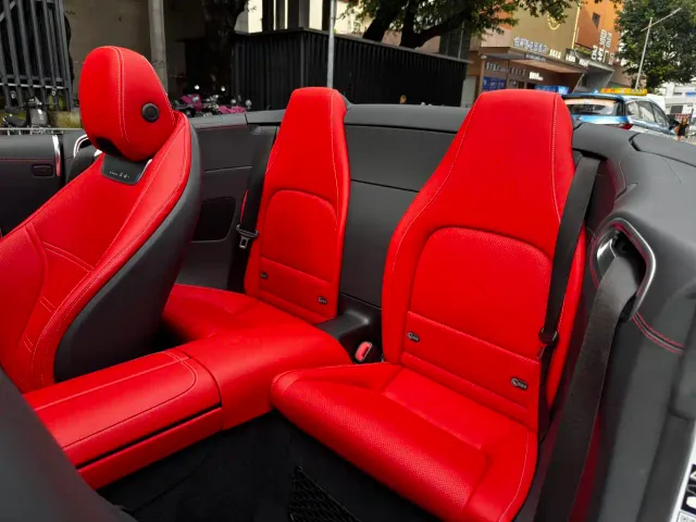 Mercedes-Benz SL-Class AMG — Фото автомобиля 11