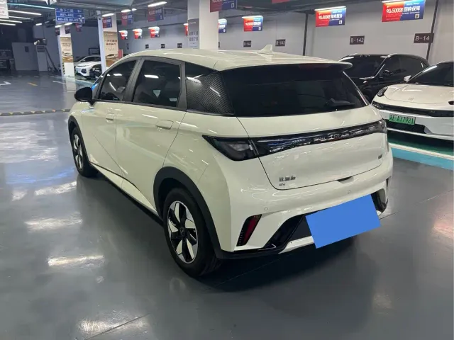 BYD Dolphin — Фото автомобиля 15