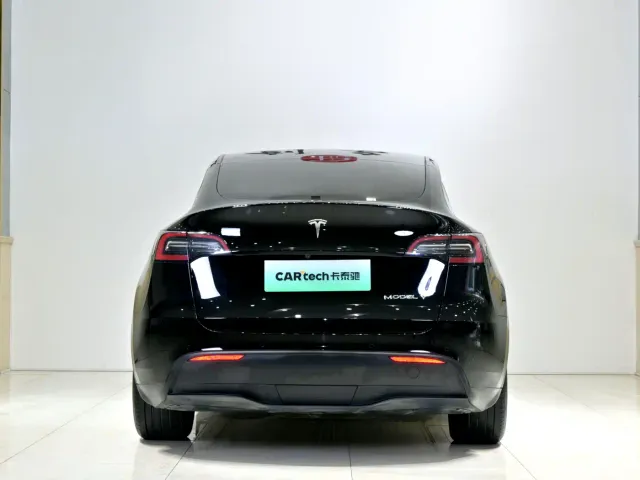 Tesla Model Y — Фото автомобиля 24