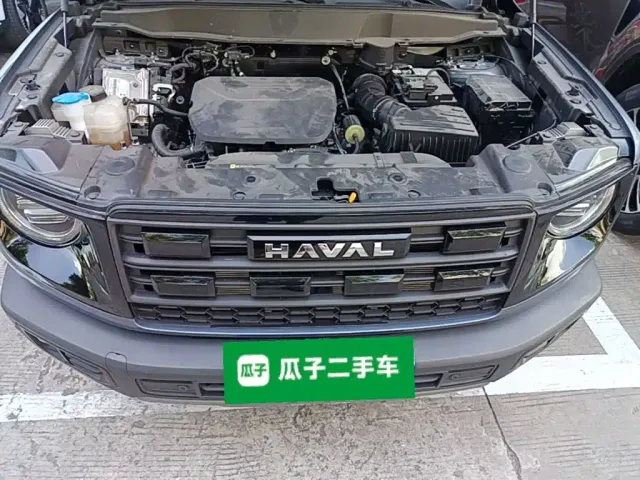 Haval Big Dog — Фото автомобиля 24