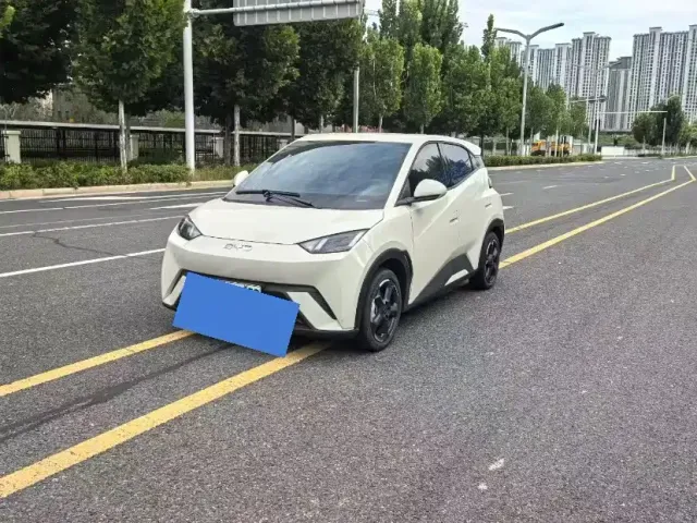 Фотография автомобиля — BYD Seagull