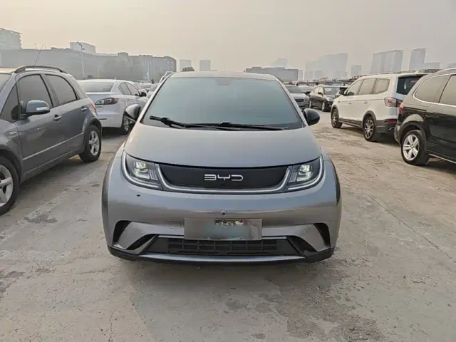 BYD Dolphin — Фото автомобиля 2