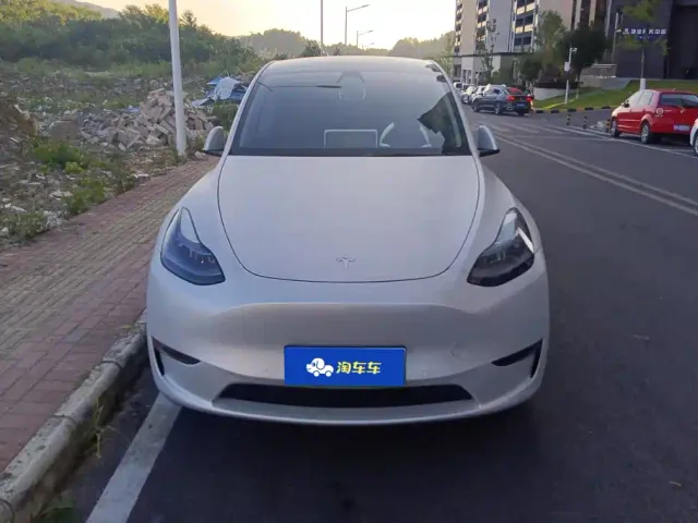 Tesla Model Y — Фото автомобиля 2