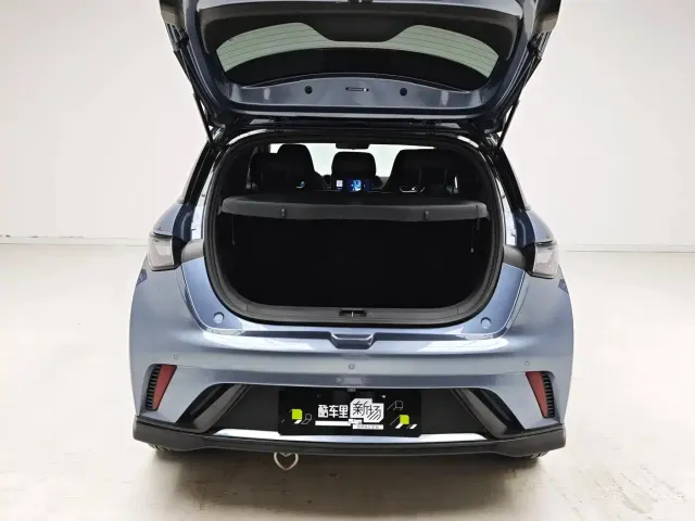 BYD Dolphin — Фото автомобиля 11