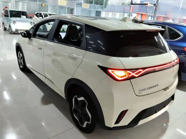 BYD Dolphin — Фото автомобиля 4