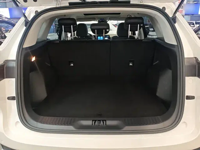 Ford Lingrui — Фото автомобиля 18