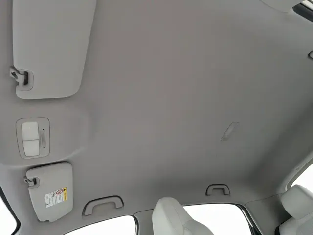 Geely Starry Wish — Фото автомобиля 14