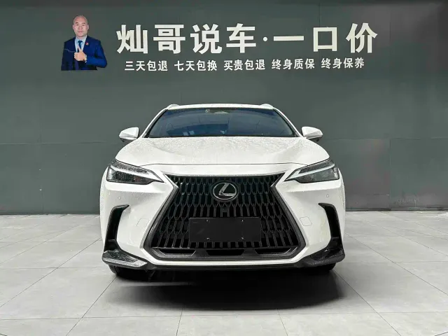 Lexus NX — Фото автомобиля 18