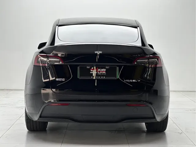 Tesla Model Y — Фото автомобиля 5