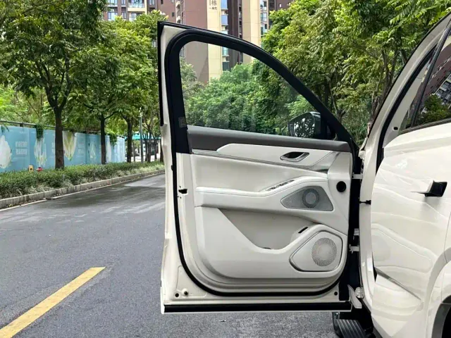 Wey Lanshan — Фото автомобиля 11