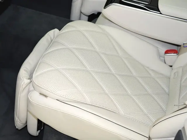 Mercedes-Benz Maybach S-Class — Фото автомобиля 23