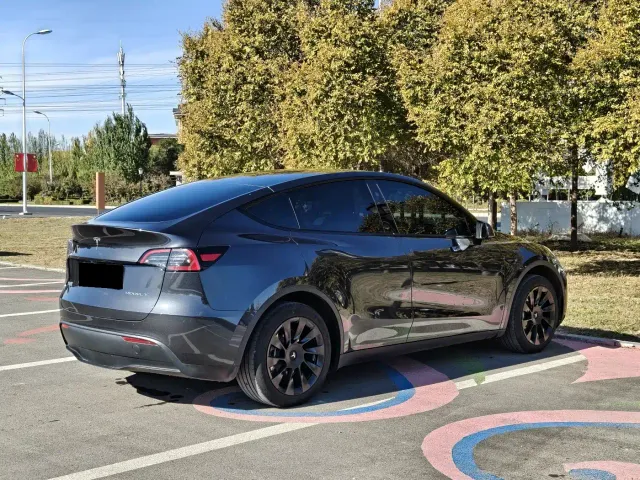 Tesla Model Y — Фото автомобиля 6