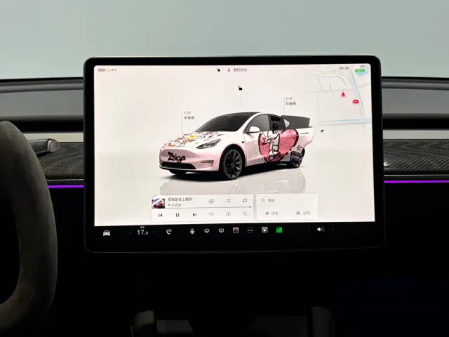 Tesla Model Y — Фото автомобиля 12