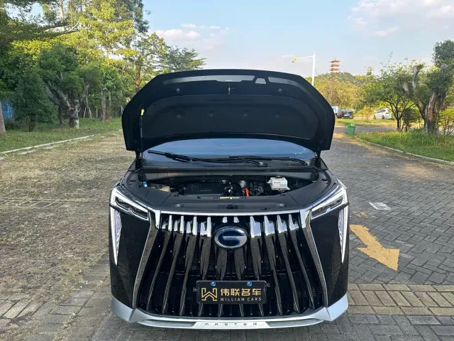 GAC Trumpchi M8 — Фото автомобиля 21