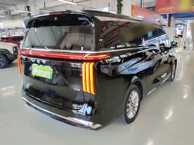 WEY WEY Alpine 2023 AWD Executive Long Wheelbase — Фото автомобиля 6