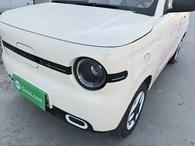 Geely Panda — Фото автомобиля 23