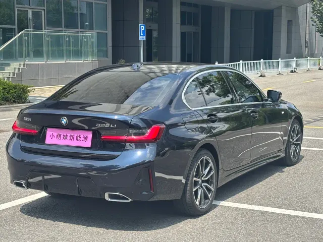 BMW 3 Series — Фото автомобиля 21