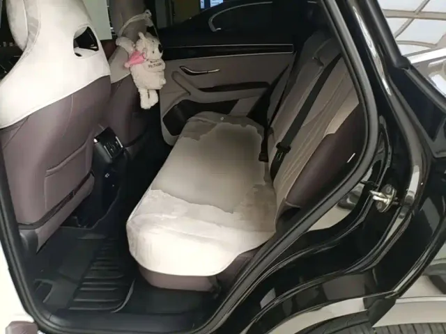 BYD Song PLUS — Фото автомобиля 16