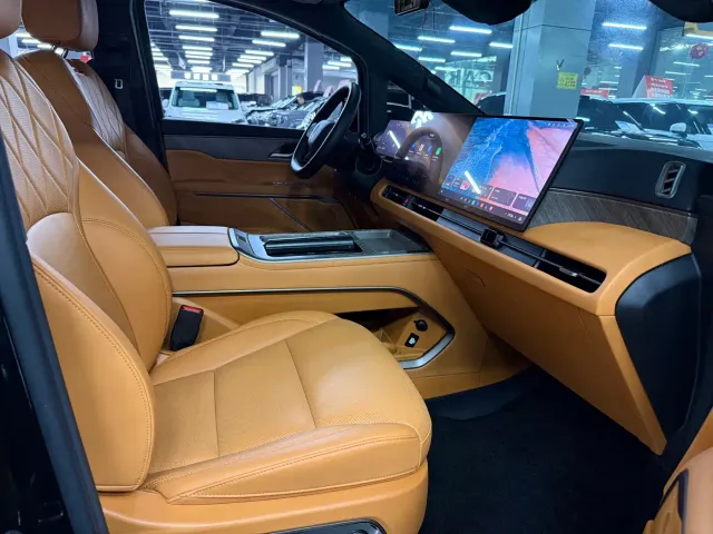 Wey Alpine — Фото автомобиля 20