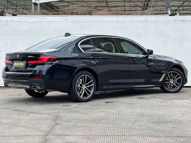 BMW 5 Series — Фото автомобиля 8