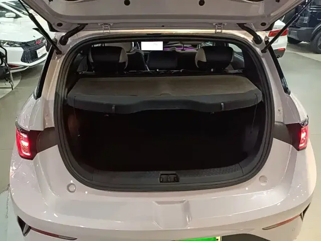 BYD Dolphin — Фото автомобиля 18