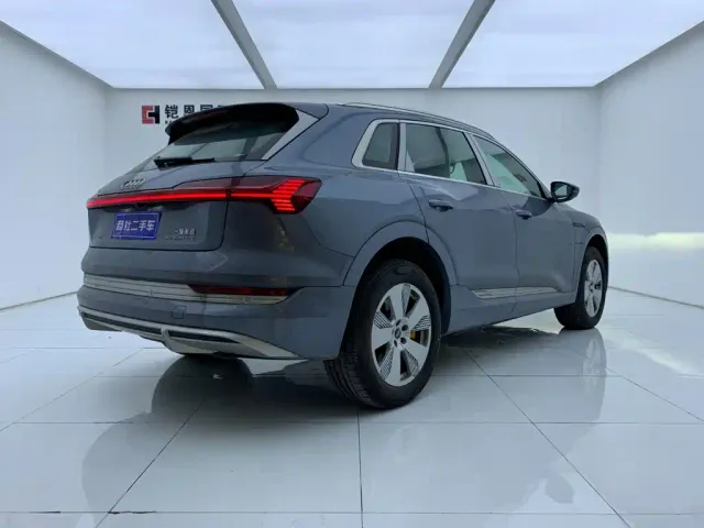 Audi e-tron — Фото автомобиля 6