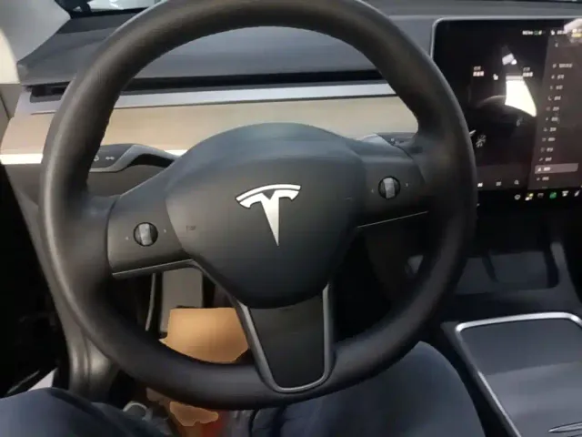 Tesla Model Y — Фото автомобиля 10