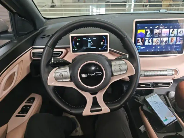 BYD Seagull — Фото автомобиля 10