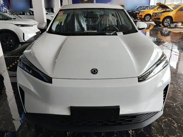 Dongfeng SKY EV01 — Фото автомобиля 2