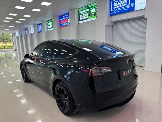 Tesla Model Y — Фото автомобиля 4