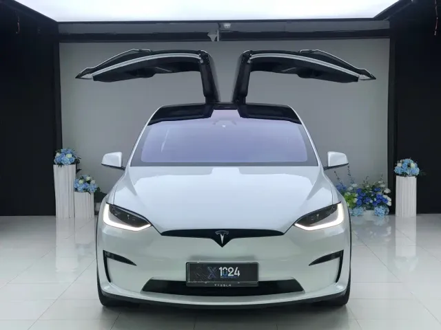 Tesla Model X — Фото автомобиля 2