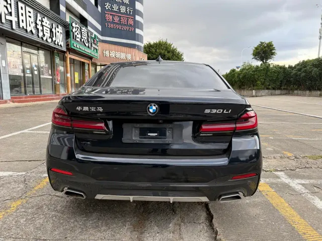 BMW 5 Series — Фото автомобиля 8