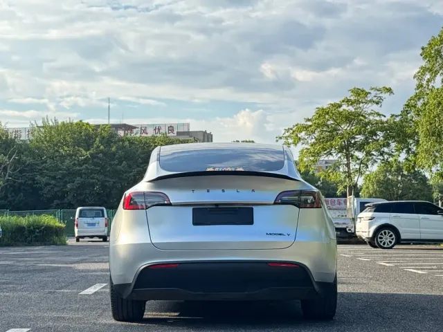 Tesla Model Y — Фото автомобиля 12