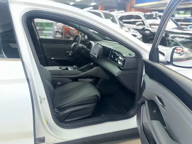 BYD Qin L — Фото автомобиля 16