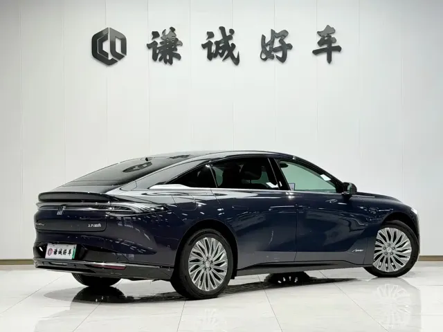 Buick Electra L7 — Фото автомобиля 5