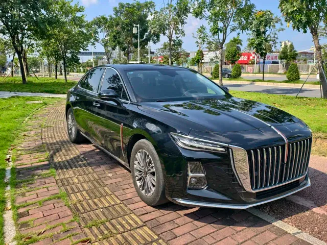 Hongqi Hongqi H5 2023 1.5T DCT Smart Connect Flag Rhythm — Фото автомобиля 3